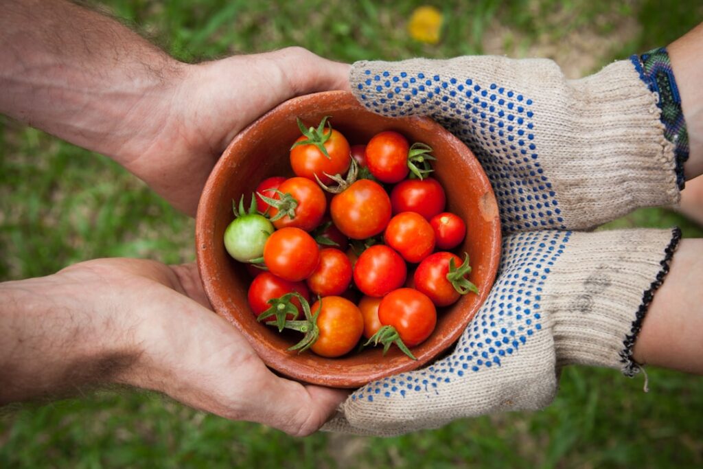 Photo Community garden